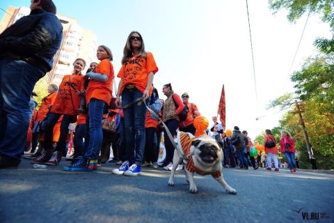 День тигра 2014